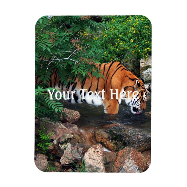 Falln Drinking Tiger Magnet (Vertical)