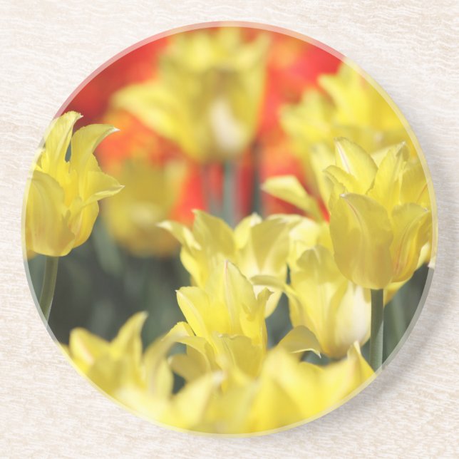 Falln Floral Summer Glow Coaster (Front)