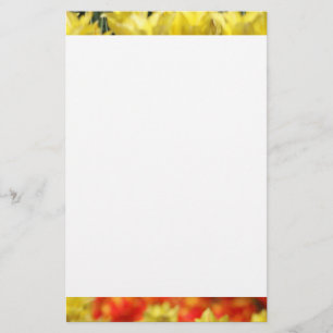 Falln Floral Summer Glow Stationery
