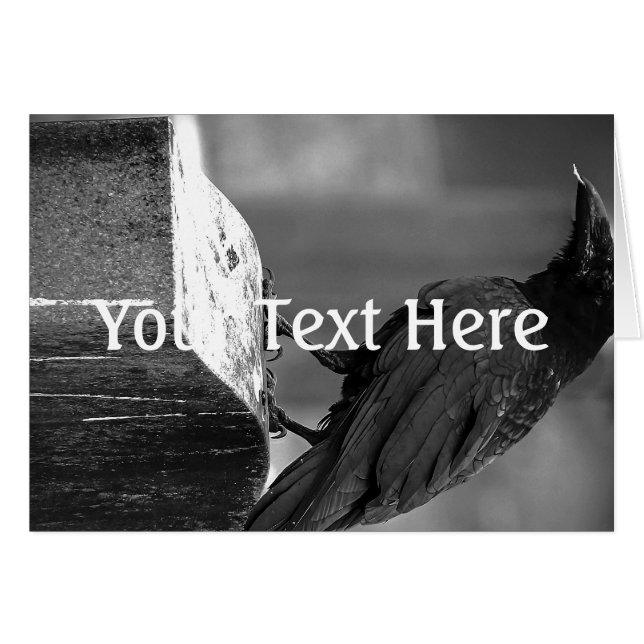 Falln Found A Feather (Front Horizontal)