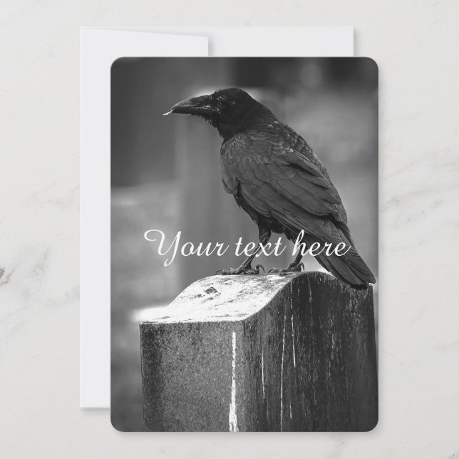 Falln Found A Feather (Front)