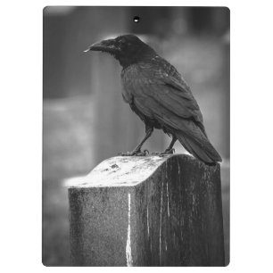 Falln Found A Feather Clipboard