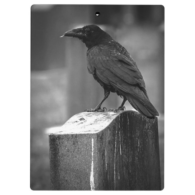 Falln Found A Feather Clipboard (Back)