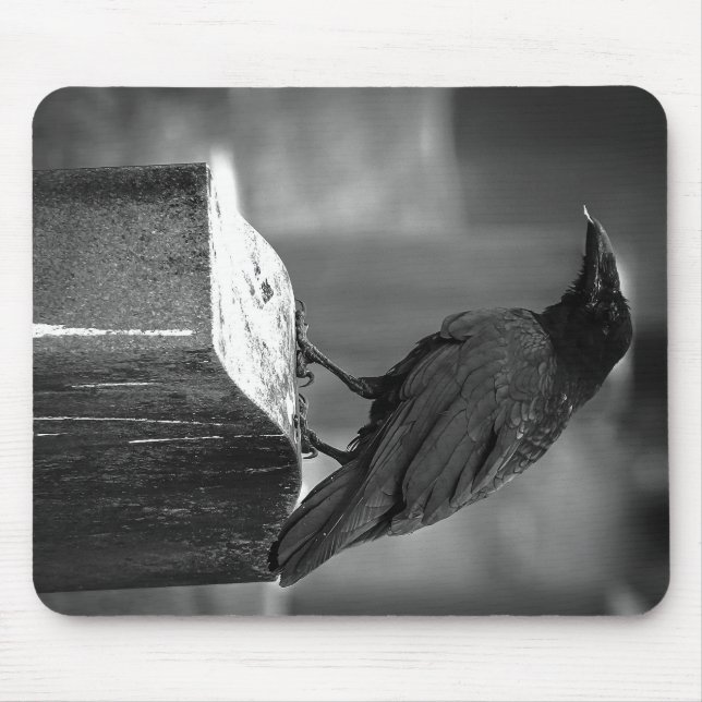 Falln Found A Feather Mouse Mat (Front)