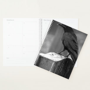 Falln Found A Feather Planner