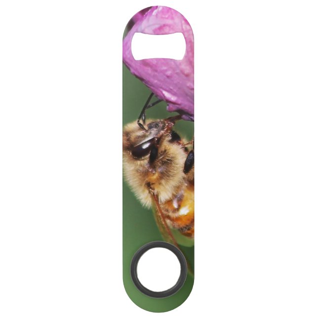 Falln Fuzzy Little Bee (Front)