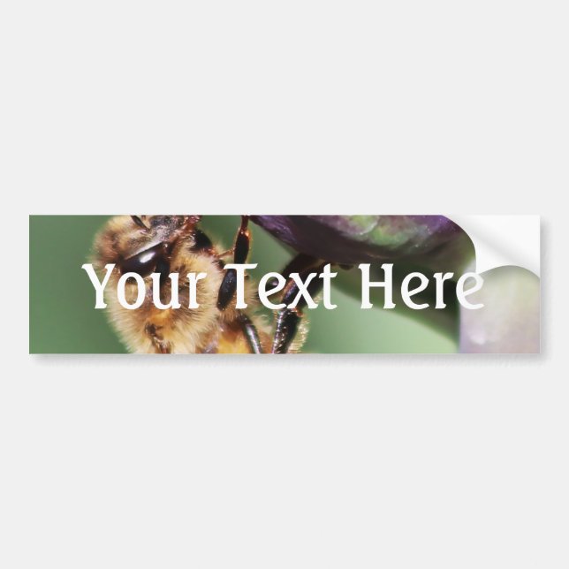 Falln Fuzzy Little Bee Bumper Sticker (Front)