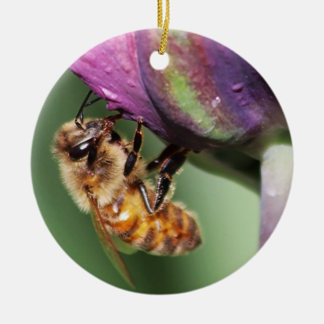 Falln Fuzzy Little Bee Ceramic Tree Decoration (Front)