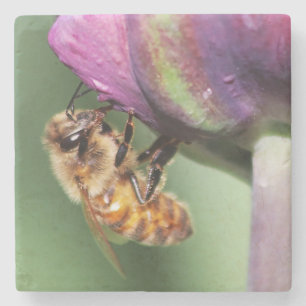 Falln Fuzzy Little Bee Stone Coaster