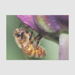 Falln Fuzzy Little Bee Tissue Paper