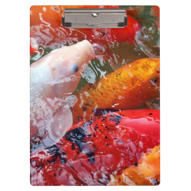 Falln Gathering Koi Clipboard (Front)