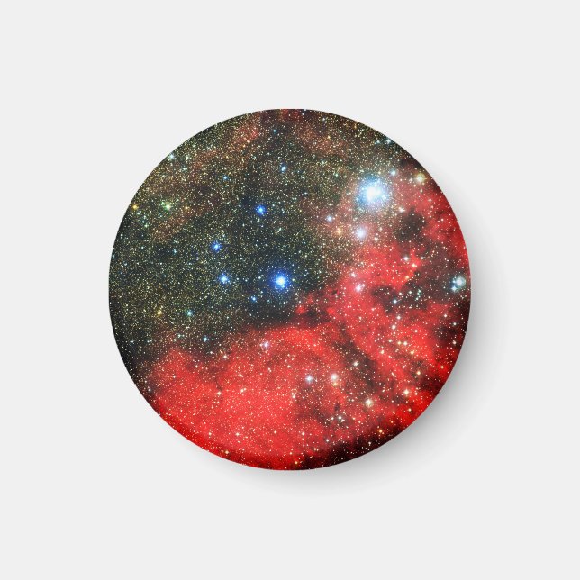 Falln Gold Dusted Galaxy Magnet (Front)