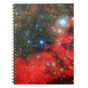 Falln Gold Dusted Galaxy Notebook