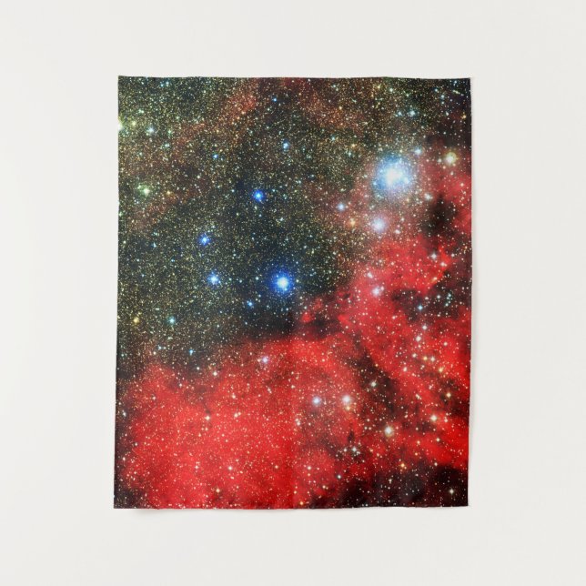 Falln Gold Dusted Galaxy Tapestry (Front)