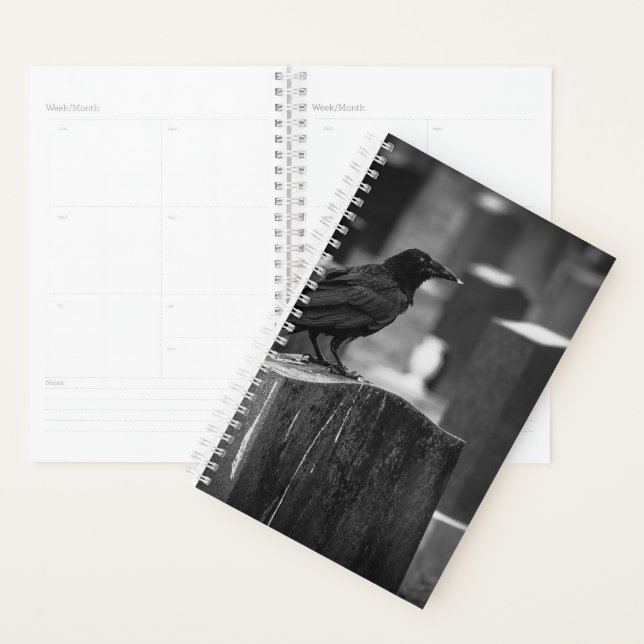 Falln It Can't Rain All The Time Planner (Display)