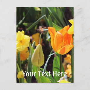 Falln Little Bee in Flight Postcard