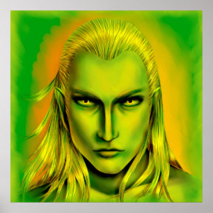 Falln Male Forest Elf Poster