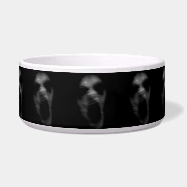 Falln Mental Disturbances (Front)