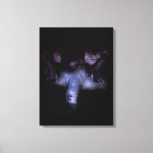 Falln MirrorMirror Canvas Print