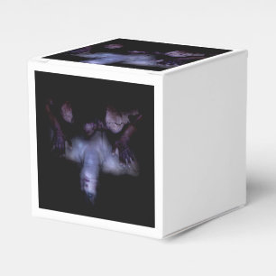 Falln MirrorMirror Favour Box