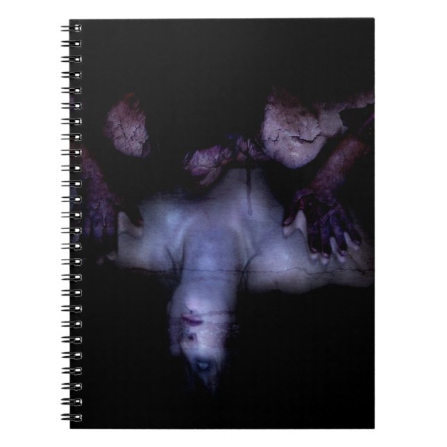 Falln MirrorMirror Notebook (Front)