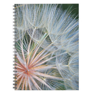 Falln New Wishes Notebook