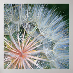 Falln New Wishes Poster