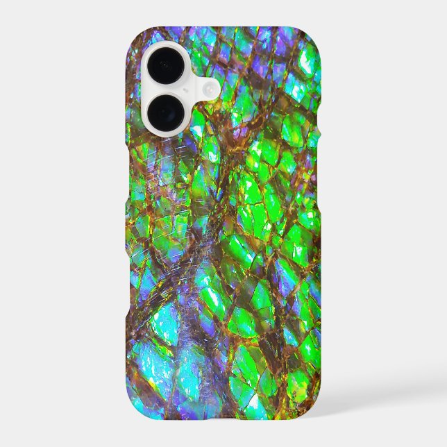 Falln Peacock Ammolite (Back)