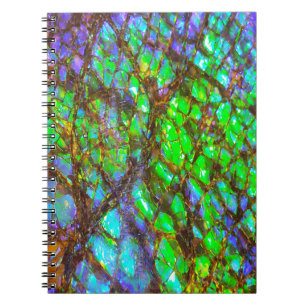 Falln Peacock Ammolite Notebook