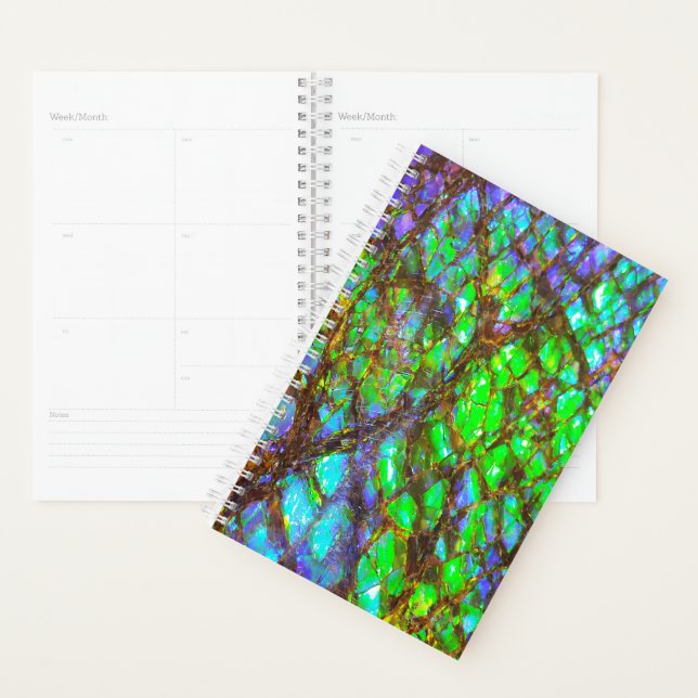 Falln Peacock Ammolite Planner (Display)