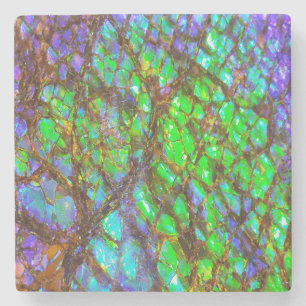 Falln Peacock Ammolite Stone Coaster