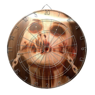 Falln Personal Saviour Dartboard