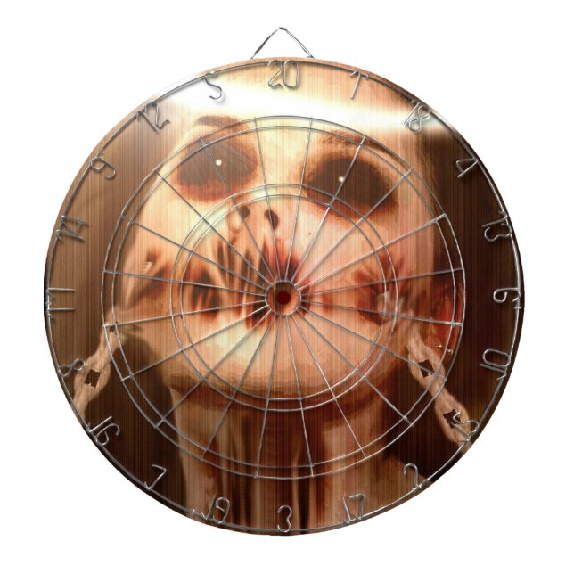 Falln Personal Saviour Dartboard (Front)