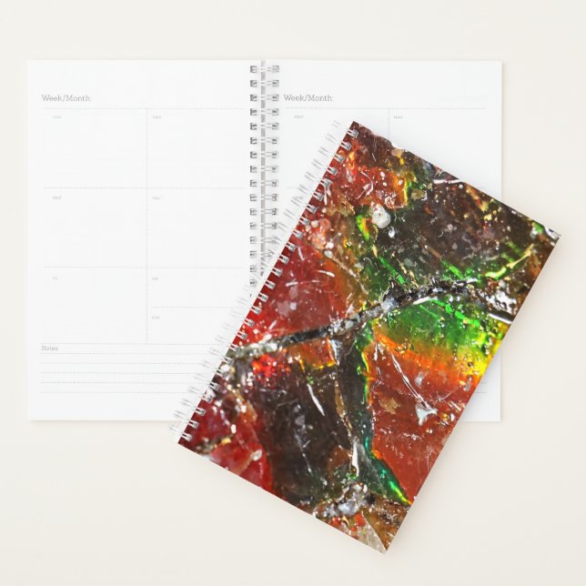 Falln Piedras Arcoiris Planner (Display)