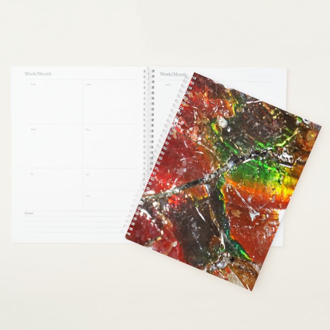 Falln Piedras Arcoiris Planner (Display)