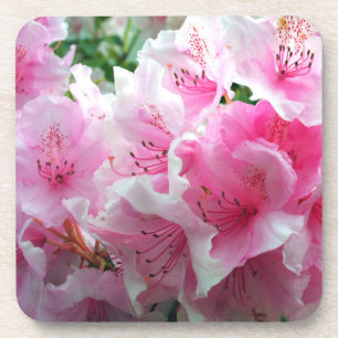 Falln Pink Floral Blossoms Coaster