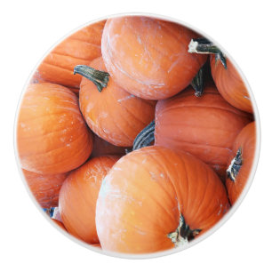 Falln Pumpkin Pile Ceramic Knob