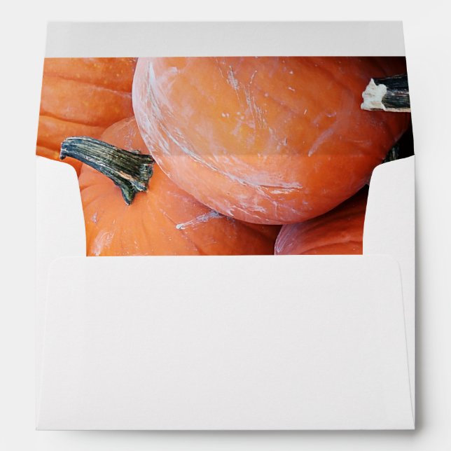 Falln Pumpkin Pile Envelope (Back (Bottom))