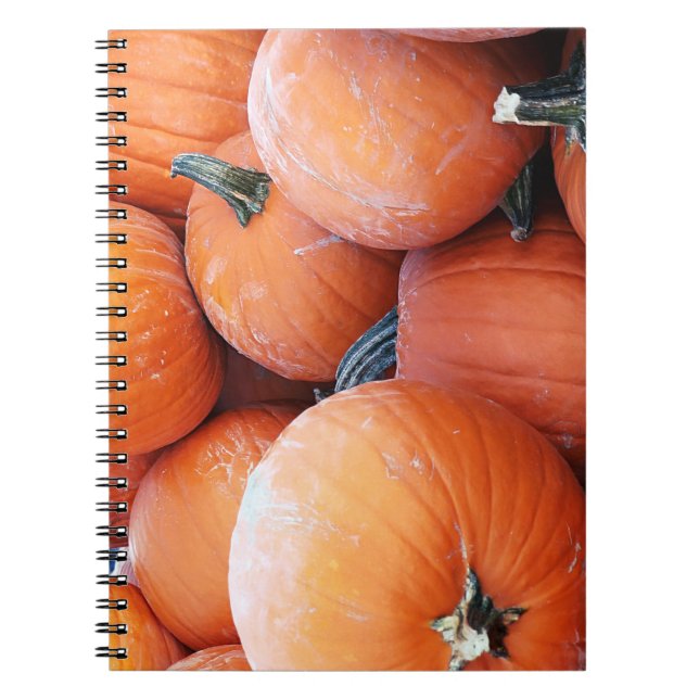 Falln Pumpkin Pile Notebook (Front)