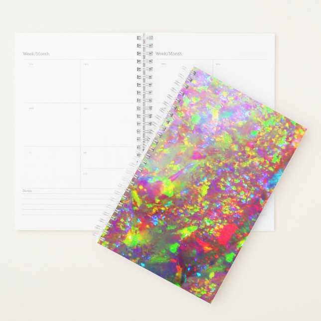 Falln Rainbow Brazilian Opal Planner (Display)