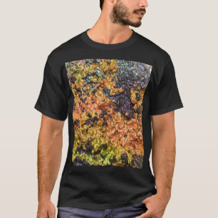 Falln Rusty Sunset Stones T-Shirt