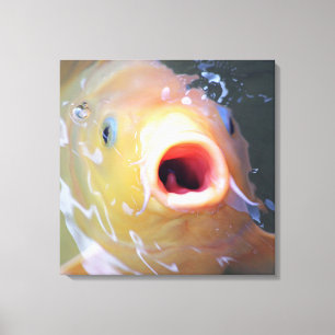 Falln Singing Ghost Koi Canvas Print