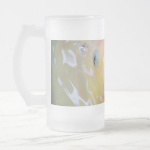 Falln Singing Ghost Koi Frosted Glass Beer Mug