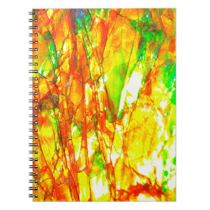 Falln Sunset Ammolite Notebook
