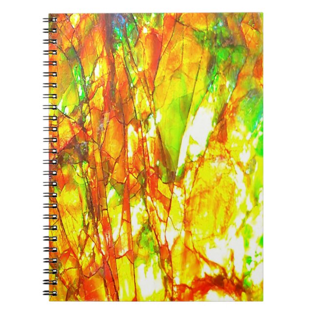 Falln Sunset Ammolite Notebook (Front)