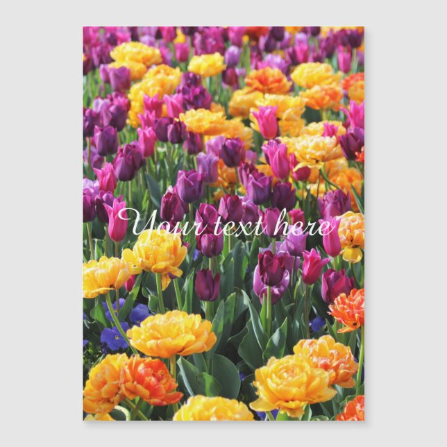 Falln Sunset Floral River (Front)