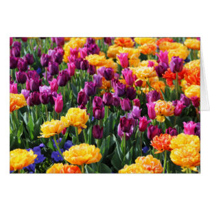 Falln Sunset Floral River
