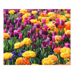 Falln Sunset Floral River Photo Print