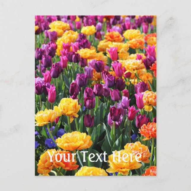 Falln Sunset Floral River Postcard (Front)