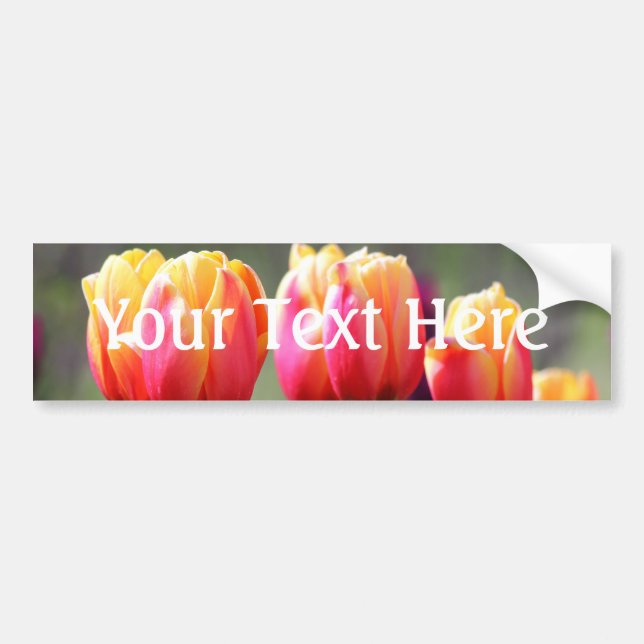 Falln Tulips Aflame Bumper Sticker (Front)